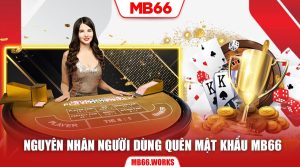 Bạn quên mật khẩu MB66 trong những tình huống nào? 